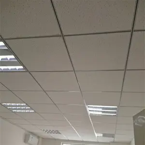 Hình Dạng Tấm Trần Hình Vuông Và Trần Tổ Ong Tính Năng Rhino Board PVC Tấm Trần Thạch Cao - Product Image 1