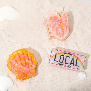 Fermaglio per capelli con targa dell'isola delle Hawaii e novità personalizzata con artiglio di conchiglie di fiori locali per l'uso quotidiano o le occasioni di vacanza - Product Image 1