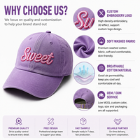 Casquette de baseball Y2K esthétique en coton lavé, brodée, couleur lavande, style Dad Hat, en sergé doux et sportif, cadeau