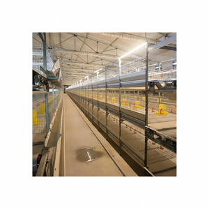 Nouvelles cages à poulets de type H à fermeture silencieuse et surface facile à nettoyer, faciles à utiliser, idéales pour les fermes rurales à faible impact sonore - Product Image 1