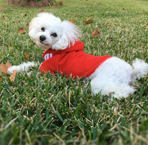 Sweat à capuche pour chien <span class=keywords><strong>Golden</strong></span> <span class=keywords><strong>Retriever</strong></span>, vêtement à la mode, grand gabarit - Product Image 5