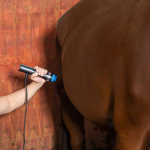 Perawatan nyeri hewan peliharaan, alat fisioterapi hewan peliharaan ESWT guncangan gelombang untuk artritis dan cedera pada hewan - Product Image 3