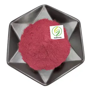 Manufacturer Halal Kosher Certificate Hibiscus Flower Extract Powder Roselle Extract Hibiscus Extract