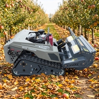 Tondeuse à gazon télécommandée à chenilles en caoutchouc pour l'agriculture, outils de jardinage, prix abordable