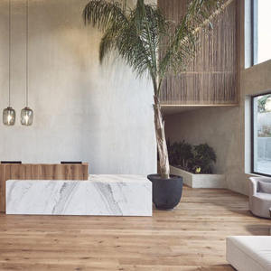 Coussins de canapé de salon d'hôtel boutique moderne, mousse haute densité, soutien confortable, forme durable, hôtel boutique - Product Image 5