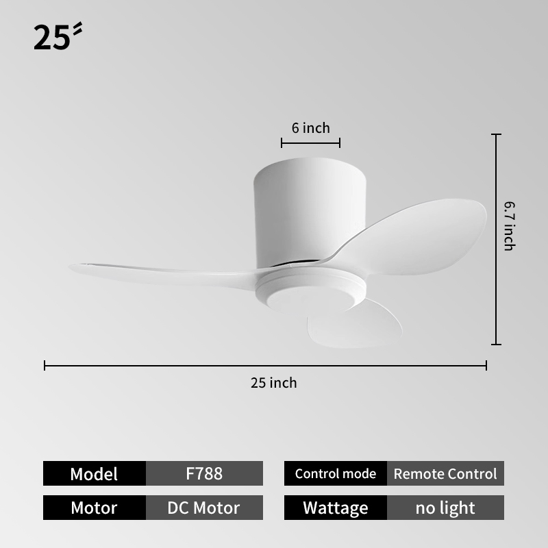 25INCH-White
