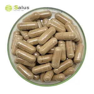 Butcher's Broom Extract Capsules OEM Private Label 500mg 60 Vegetarian Capsules For Circulatory System