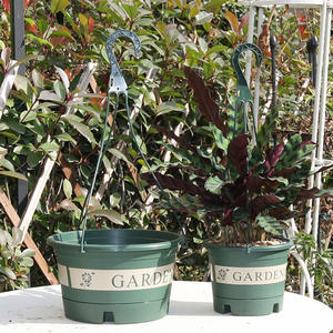 <span class=keywords><strong>Maceta</strong></span> <span class=keywords><strong>colgante</strong></span> <span class=keywords><strong>de</strong></span> <span class=keywords><strong>plástico</strong></span> con forma <span class=keywords><strong>de</strong></span> Orquídea, <span class=keywords><strong>maceta</strong></span> para espesamiento hortícola, suculenta, hierba <span class=keywords><strong>de</strong></span> nabo verde - Product Image 3