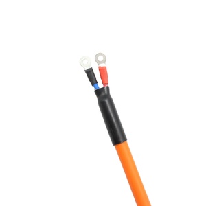 Изготовленный на заказ высоковольтный DC Power 2 полюса 2*2, 5 мм2 жгут проводов водонепроницаемый экранированный HV кабель в сборе - Product Image 5