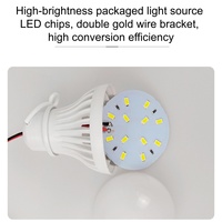 Ampoule LED à faible tension alimentée par batterie Aulipur 12V/24V/36V, culot à vis E27, adaptée à un usage domestique et à l'éclairage public extérieur