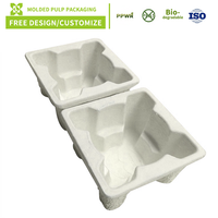 Barquettes en pulpe biodégradable PPWR, conception gratuite, emballage en pulpe, emballage en fibre moulée personnalisé, fournisseur professionnel de barquettes en pulpe
