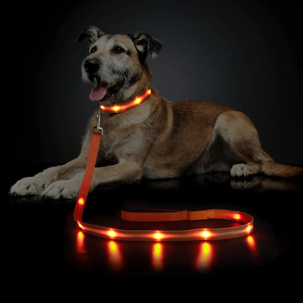 Coleira de nylon recarregável para cachorros, com bateria led de ilon, luz noturna, coleira e coleira, com lanterna led