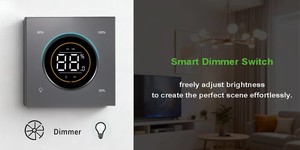 Interruptor Inteligente Tuya Zigbee de 2 Canales, Control de Luz Regulable y Velocidad del Ventilador, Sin Necesidad de Cable Neutro, Fácil Instalación para el <span class=keywords><strong>Mercado</strong></span> de la India - Product Image 4