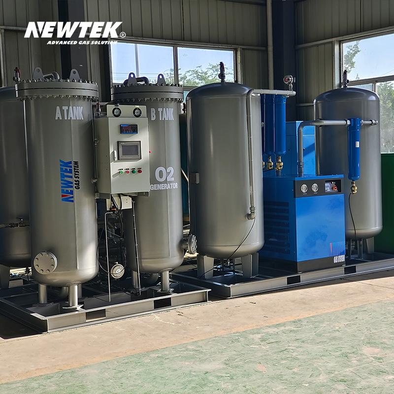 NEWTEK Gas Generation Equipment Generators Oxygen Provide On-site Installation Free and One Year Free Spare Parts Package