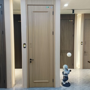 Hiện đại đơn giản rắn gỗ composite nội thất cửa melamine tráng cửa gỗ cho phòng ngủ cách âm & Chống thấm nước cho phòng khách - Product Image 3