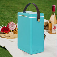 Glacière en métal 10L étanche, petite glacière polaire pour la pêche sur glace, glacière à jus pour le camping et les pique-niques en extérieur
