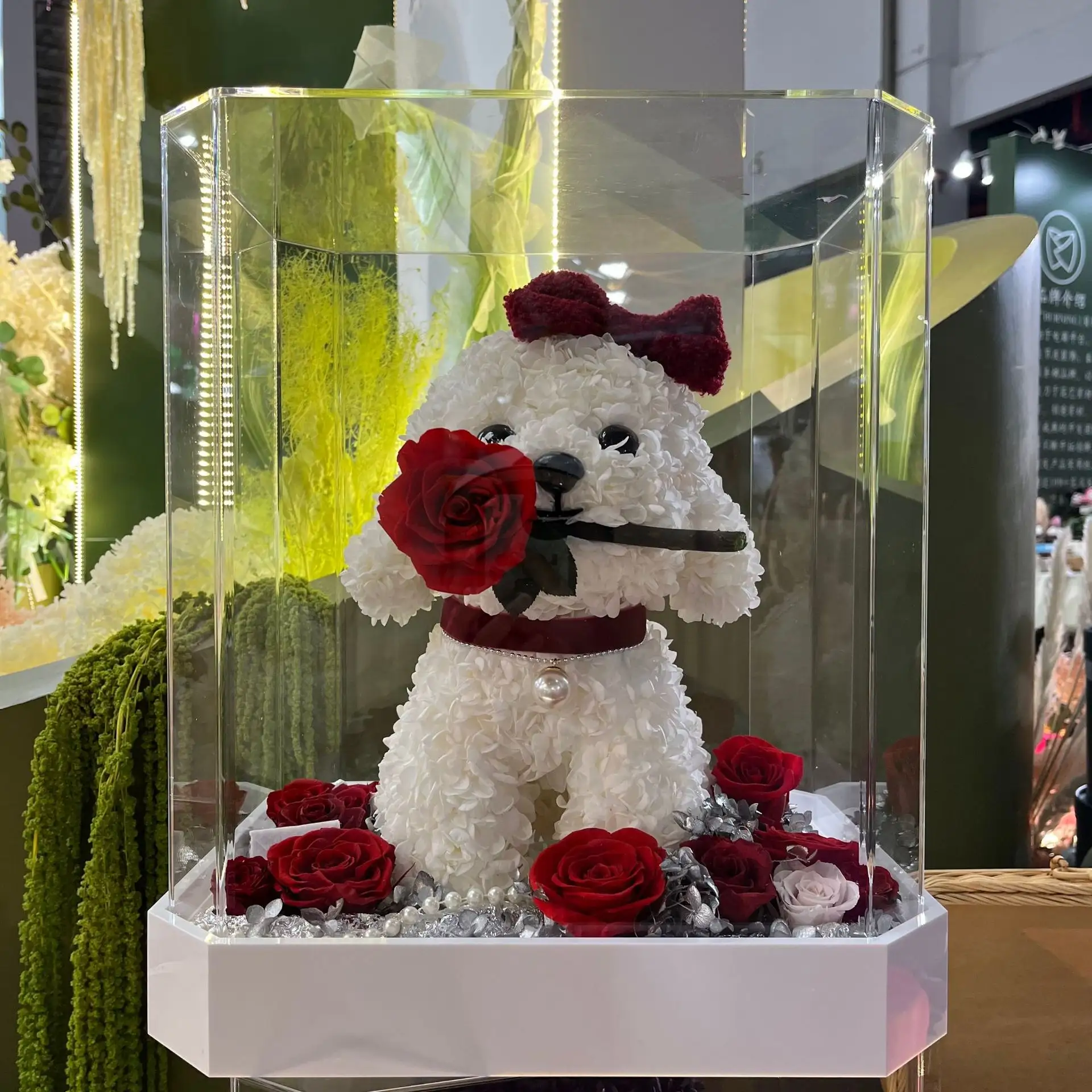 Echte Natuurlijke Langdurige Onsterfelijke Eeuwige Voor Altijd Bloem Gedroogde Bloemen Bewaard Gebleven Rose Teddy Dog Valentijnsdag Cadeau