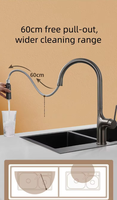 Robinet d'évier de cuisine à tirette à poignée unique avec noyau de valve en céramique, tuyau flexible d'eau froide et chaude, installation à un trou