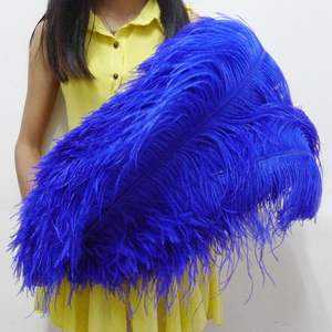 Besar 70-75 cm dicelup bulu burung unta halus pola diputihkan untuk kostum karnaval & Showgirl hiasan kepala aksesoris - Product Image 6