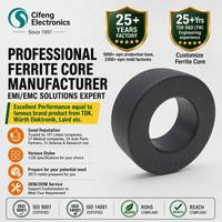 Núcleo Nanocristalino de Estilo Toroidal, Carcasa o Revestimiento de Plástico, Alta Permeabilidad, Amorfo, para Transformadores de Productos Electrónicos
