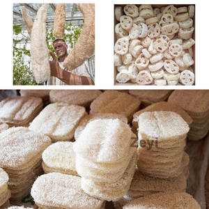 Éponges exfoliantes en loofah personnalisées avec logo, en tissu éponge, <span class=keywords><strong>gants</strong></span> exfoliants pour le corps, hommes et femmes, loofah naturel - Product Image 5