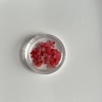 Fleur de dentelle de la reine Anne pressée naturelle tendance pour le nail art, la manucure et les loisirs créatifs