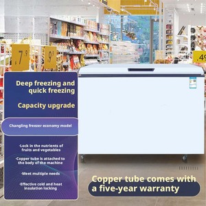 Congélateur Commercial Compact, Réfrigérateur-Congélateur Double Usage, Congélateur à Choc Rapide, Réfrigérateur - Product Image 2
