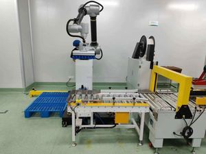 Manipulateur de palettes robotisé vertical à 6 axes, commandé par TCP, pour la manutention automatique des palettes - Product Image 5