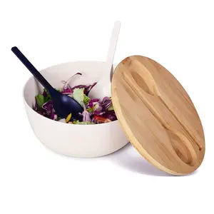 Pasta fruit vegetable plastic mixing bowls set with lid, melamine plastic salad bowl set of fruit salad bowls with servers
