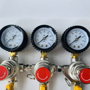 Doble de <span class=keywords><strong>CO2</strong></span> cerveza regulador de presión CGA-320 <span class=keywords><strong>CO2</strong></span> tanque cerveza regulador de válvula de alivio de cerveza - Product Image 5