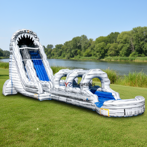 Toboggan aquatique gonflable de haute qualité sur le thème de la sirène, toboggan aquatique gonflable avec piscine <span class=keywords><strong>pour</strong></span> la <span class=keywords><strong>location</strong></span> - Product Image 2