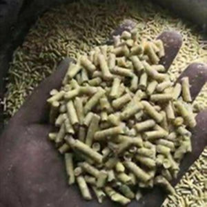 Machine à granulés d'aliments à haute efficacité <span class=keywords><strong>pour</strong></span> le traitement <span class=keywords><strong>de</strong></span> la <span class=keywords><strong>litière</strong></span> <span class=keywords><strong>pour</strong></span> chats, du fumier <span class=keywords><strong>de</strong></span> poulet, <span class=keywords><strong>de</strong></span> la volaille, <span class=keywords><strong>de</strong></span> la ferme avicole - Product Image 6