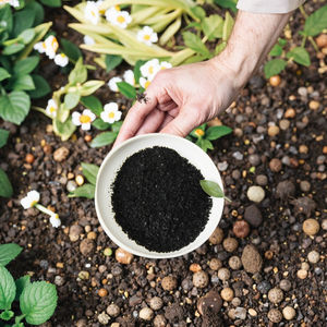 خصم اليابانية مستخلص الأعشاب البحرية للبيع - Product Image 6