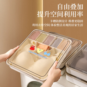 Caja de almacenamiento de ropa con compartimentos, rectangular, cubierta, para uso en el hogar, dormitorio o armario. - Product Image 4