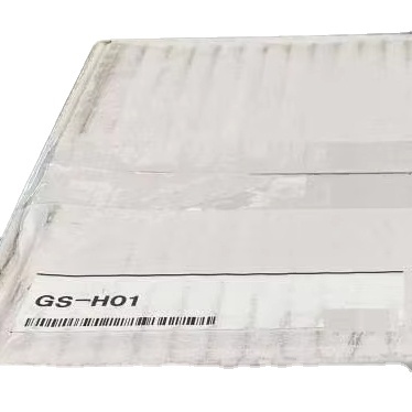 GS-H01 Brand New Original Genuine Sensors Product