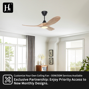 48-inch LED Ceiling Fan, 220V, Ventilation Technology, Customizable LED <b>Wireless</b> Ceiling Fan with Light - Product Image 5