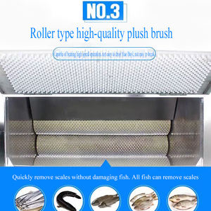 เครื่องขูด<span class=keywords><strong>ปลา</strong></span><span class=keywords><strong>แซลมอน</strong></span><span class=keywords><strong>ปลา</strong></span>นิลอเนกประสงค์ - Product Image 4