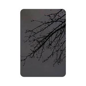 Feuilles d'acier inoxydable Sus201 Ss 304 316l 309s 310s 1/2 pouce 4x8 polies miroir finition titane noir pour les murs de cuisine - Product Image 2