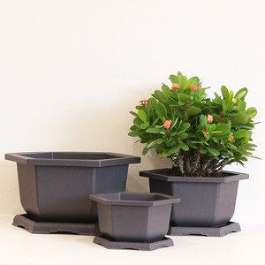 Plastic Pots Bonsai Plastic Factory Price Plastic Rectangle Hexagon Mocha Succulent Flower Pots Bonsai Training Planters