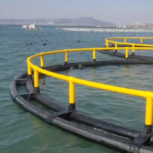 Cage flottante en HDPE de haute qualité pour l'aquaculture, nasse à crevettes pour eaux profondes avec un taux de survie élevé pour une pêche efficace - Product Image 4