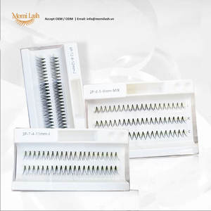 Extensión de pestañas postizas de estilo Natural hecha a mano profesional, pestañas de racimo unidas por calor suaves individuales de 0,07mm - Product Image 1
