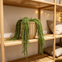 Plantes succulentes artificielles suspendues, fausses guirlandes de perles, verdure pour la décoration murale, des fenêtres, de la maison et des restaurants