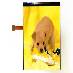 Chất Lượng Cao Với Điện Dung TP 5.5 Inch FHD 1080X1920 Màn Hình Lcd Chân Dung - Product Image 3