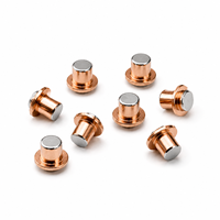 Fournisseur de rivets de contact bimétalliques électriques, relais à rivets, rivets de contact en argent