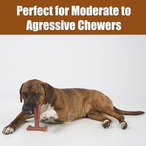 T-xương, sợi tre & nylon chó nhai, bền cho hung hăng nhai, không vỡ, cho người lớn Chó & mọc răng con chó - Product Image 5