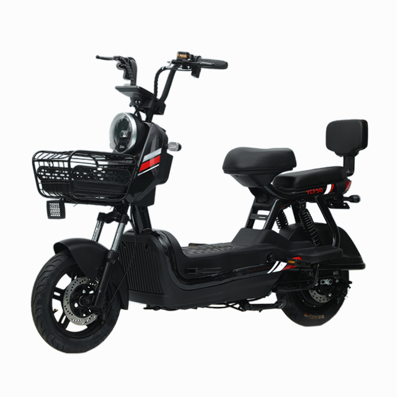 Popular Portable Electric Folding Bike for