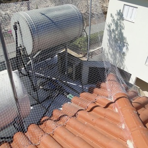 UV kháng chống-bird Poly Lưới với dịch vụ cắt cho Trái Cây Rau Vườn Nho bảo vệ chim <span class=keywords><strong>Net</strong></span> kích thước tùy chỉnh - Product Image 6