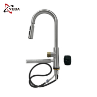 Robinets d'évier de cuisine à une poignée en acier inoxydable 304 Robinet d'évier de cuisine commercial avec pulvérisateur extractible