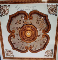 Wyc Manufacturers - Techo Cuadrado Flexible de PVC para Sala de Estar, 600x600mm, Venta al Por Mayor