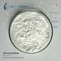 Vente Flash : Poudre d'Enzyme Glucoamylase de Qualité Alimentaire à Prix Abordable